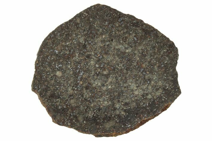 Polished Gold Basin Chondrite Meteorite Slice ( g) - Arizona #329355